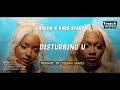 Darkoo - Disturbing U (Instrumental) ft. Ayra Starr | Afrobeat-type beat