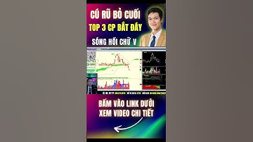Bí Mật Cú Rũ Bỏ Cuối Cùng: Top 3 Cổ Phiếu Bắt Đáy Siêu Lợi Nhuận 2026 #itp #đạtitp