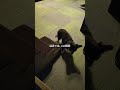 【奇跡】普段泣かない男が泣いた日
