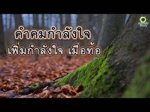 คำคมกำลังใจ เพิ่มกำลังใจ เมื่อท้อ