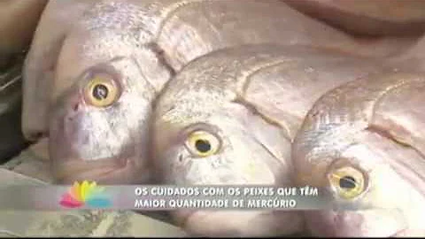 Quais são os peixes mais contaminados?