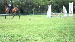 Gridwork at cheshire hunt south mini camp 1st june 2011