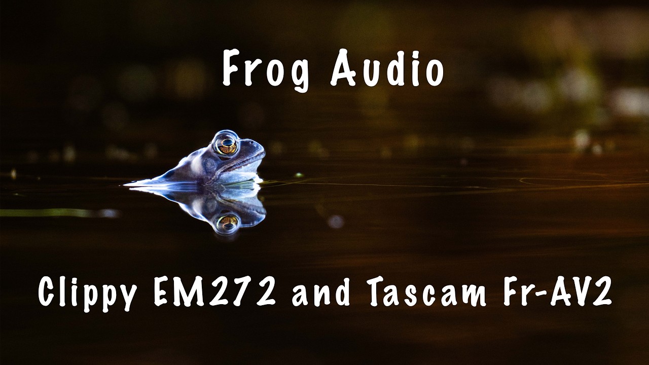 Croaking Frogs : Clippy EM272 Micbooster Nature Sounds - YouTube