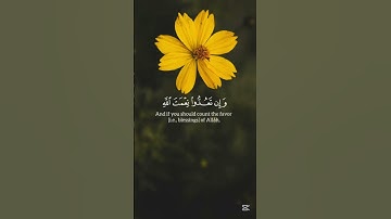 سورة ابراهيم ( واتاكم من كل ما سالتموه ) | الآية ١٣٤ المنشاوي #قرآن #المنشاوي #سورة_إبراهيم