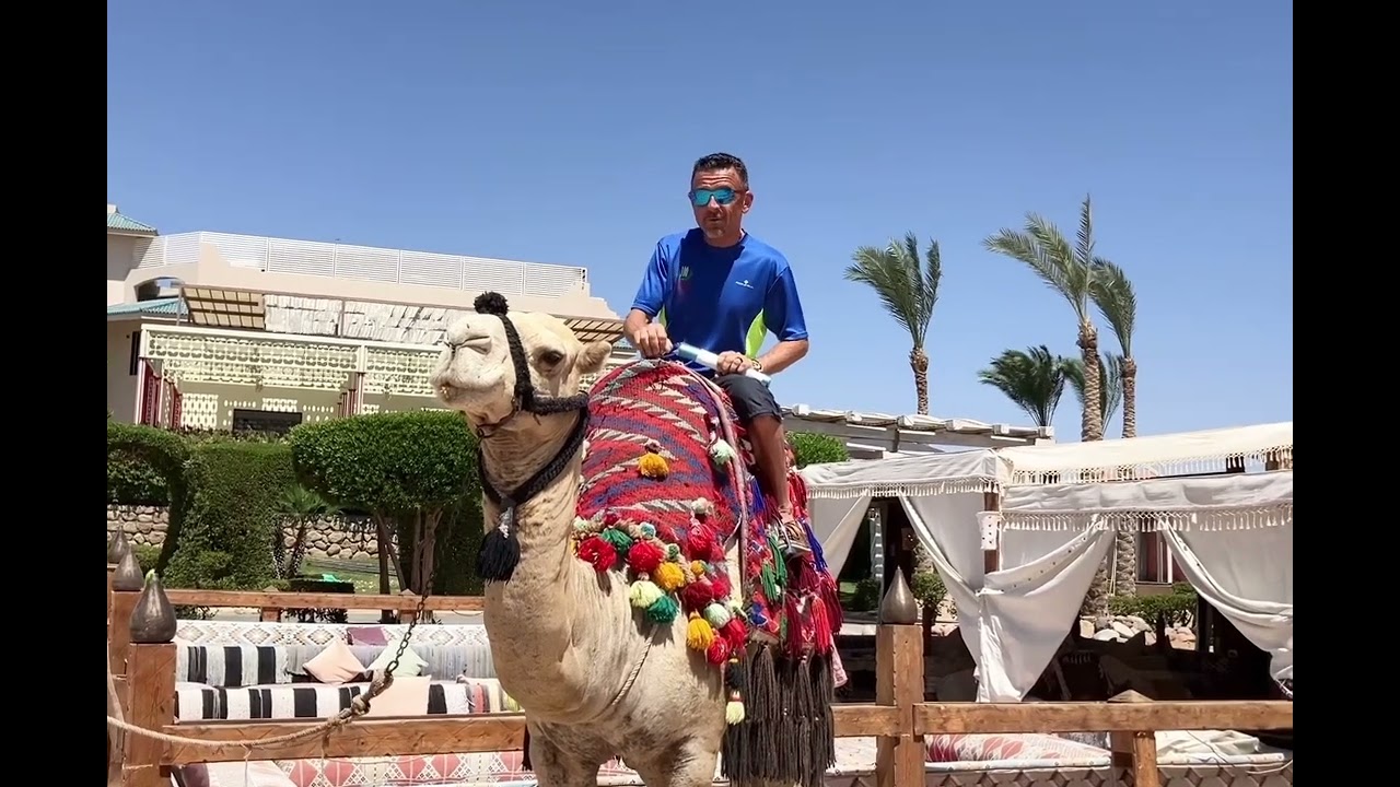 Tim McIntyre - 100th Marathon Presentation