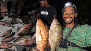 THIS FISHING SPOT HAS THE MOST SNAPPER IN JAMAICA! 🇯🇲🎣🔥