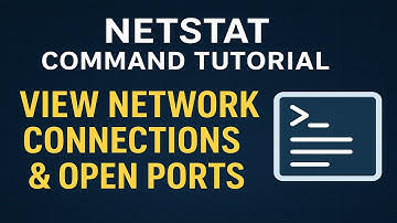 Netstat Command Tutorial: View Network Connections & Open Ports Easily