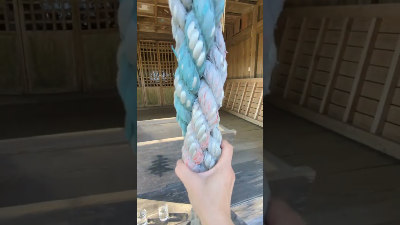 菜の花畑に囲まれた夢神社「延岡市・下舞野神社」