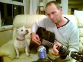 Rod Stewart I don't want to talk about it cover @Dave Black and Sally The Teenage Westie :-)
