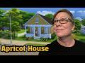 Let's start Spring early/Apricot House