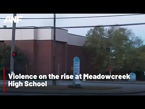 Violence on the rise at Meadowcreek High School