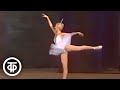 Спящая красавица. Балет в постановке Театра оперы и балета имени Кирова (1982)