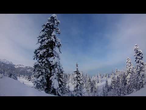 გოდერძი