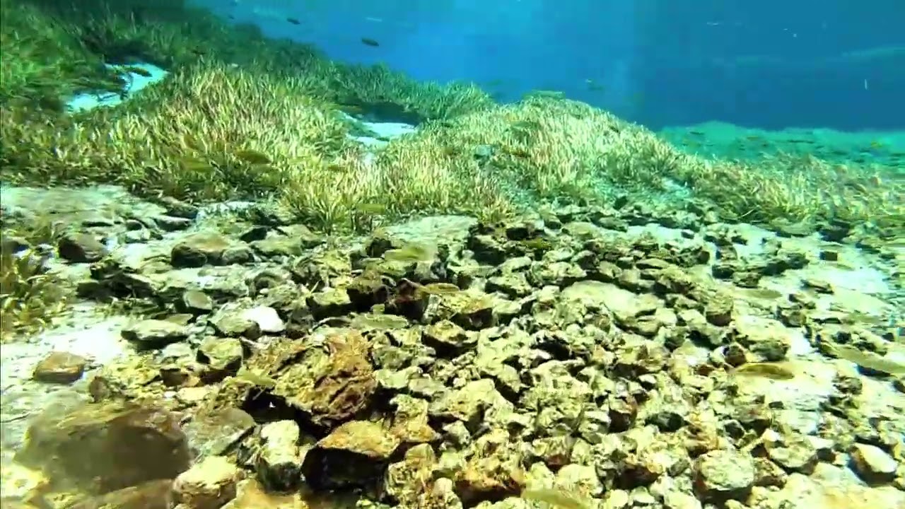 The river Fwa on DR Congo