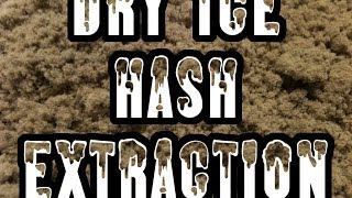 Belgian Dry Ice Hash Extraction - Extraction Hash Glace Carbonique