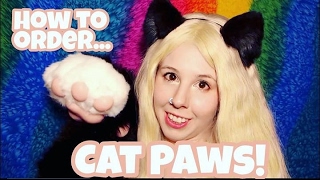 Kitten Play: How To Order Custom Kitten Paws