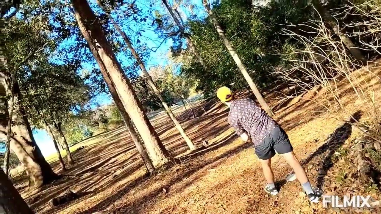 Disc Golf in Talllahassee