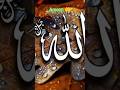 islamicstatus #islamicvideo #islamic #dua#short#subscribe 🤲🤲🤲🤲