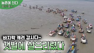 바지락 캐러 갑시다, 바지락의 고향 태안군 파도리