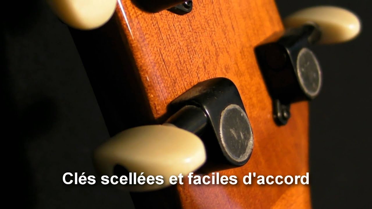 MADERA  SD6000 son et look