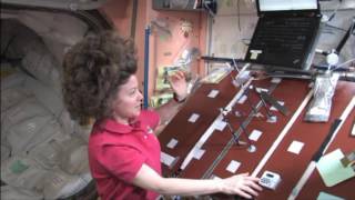 Kids in Micro-g: Pondering the Pendulum