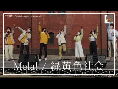 【アカペラ】Mela! / 緑黄色社会