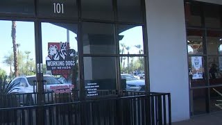 2 arrested after more than 50 dogs confiscated in two separate animal abuse incidents