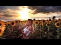 Sunflower's Canon - Memories Violin Cover (Maroon 5 / Canon in D)