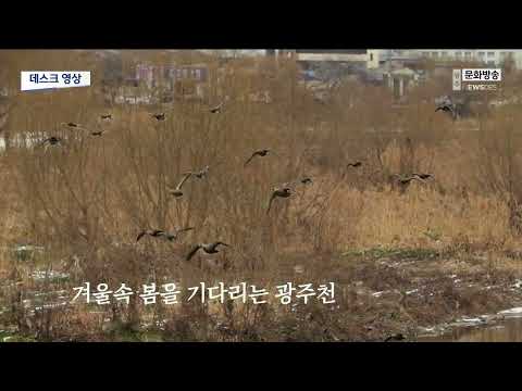 [데스크영상] 겨울 속 봄을 기다리는 <strong>광주천</strong>