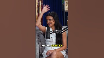 Harnessing Intuition Trusting Your Gut in Decision Making #intuition #trustyourgut #shorts @TheoVon