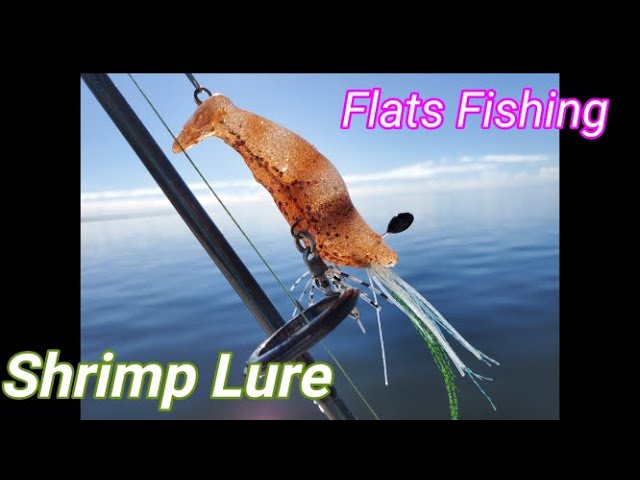 Rigging Live Shrimp In The Head vs. Tail (Best Way To Rig Shrimp) 