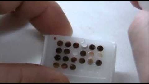 Radical Tissue Microarray  Vol. 5