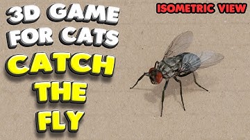 3D game for cats | CATCH THE FLY (isometric view) | 4K, 60 fps, stereo sound