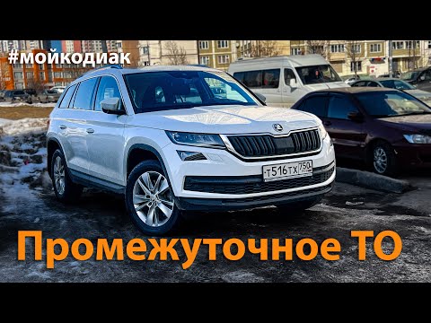 Промежуточное ТО Шкода Кодиак // Мой КОДИАК 07.03.2024