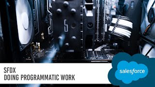 SFDX Doing Programmatic Work