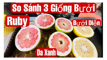 So Sánh 3 Giống Bưởi, Ruby Thái Lan - Da Xanh & Bưởi Diễn || MÂY XANH || Video 246