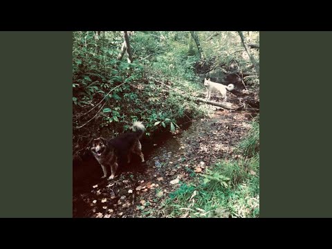 Music Video Preview