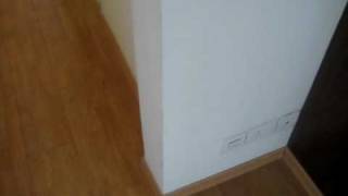 MVI_3594.AVI