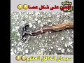 شاهد عجايب خلق الله وقل سبحان الله أفعى على شكل عصا هل من مسبح 