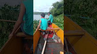 passou um cardume de peixes bem perto de nós