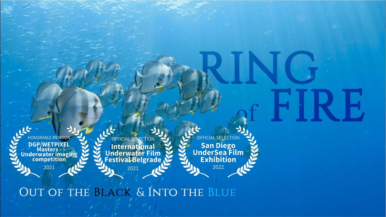 Diving The RING of FIRE, Indonesia. Out of the black & Into the Blue