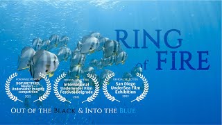 Diving The RING of FIRE, Indonesia. Out of the black \u0026 Into the Blue (CHAPTER #15)
