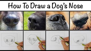 A short video which you can sketch along with to give some of the
basic principals in sketching dog's nose. check out my full length
tutorial over on h...