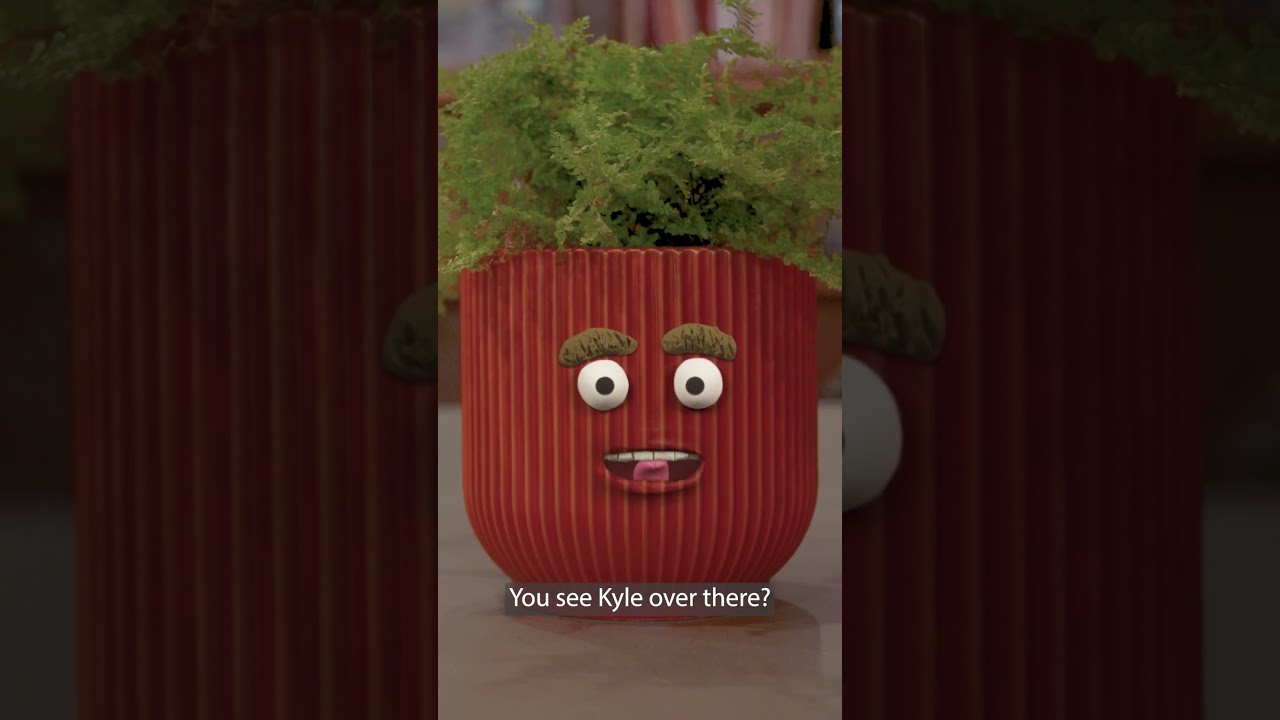 Keep Your Potted Plants Alive While You&rsquo;re Away | Mitre 10 Easy As