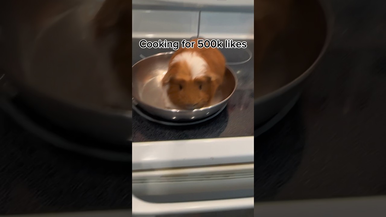 Will cook at likes! 🔥🔥🐹 