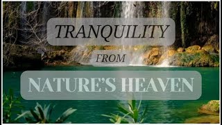 🎶 🎹 Soft Piano Notes for Deep Relaxation | Yoga Therapy | Meditation 🧘‍♀️ screenshot 2