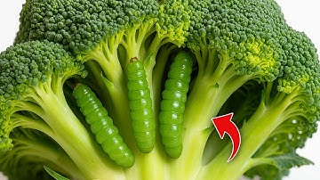 Did you know broccoli hides dirt? Here