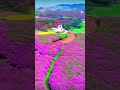 حالات وتس اب اجمل ما تسمعه من كلام مريح قلوب تفائلوا أشد ماتدحر به الوساوس وتزال به اله 