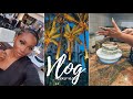 VLOG: DINNER WITH FRIENDS + BAKING A CAKE + GROCERIES + UNBOXING + BOOKS etc | DIMMA LIVING #49