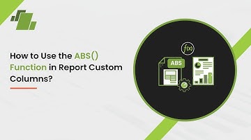 How to Use the ABS() Function in Report Custom Columns?